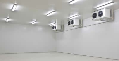 Huge commercial refrigeration warehouse featuring high ceilings and professional climate control systems.